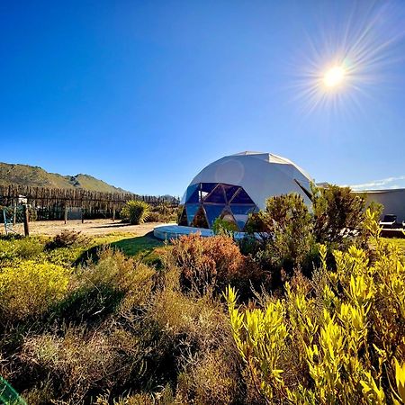 Starry Starry Night - Route 62 Villa Montagu Exterior photo