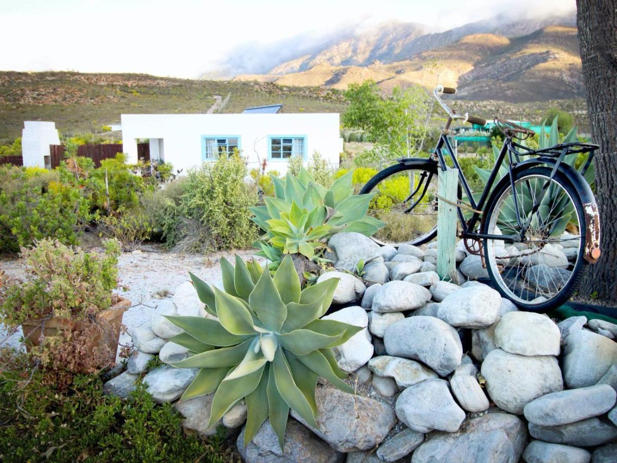 Starry Starry Night - Route 62 Villa Montagu Exterior photo